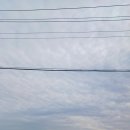 조양다방 - 보령시 충서로 410-6 | 조양다방