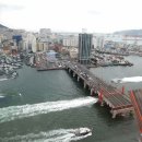 절영마 및 조내기를 이미지