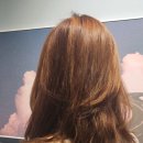 [인천] 가을맞이 핑크톤업 염색 후기 - 미쁘헤어