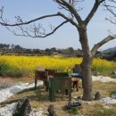 용수길 114 이미지