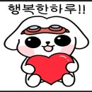 자동차가행복한집 이미지