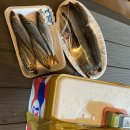 오이도 전통 수산시장 A동 금강패류 모듬조개 맛집