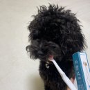 조타 생활과학연구소 이미지