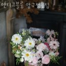 앤티크블룸압구정꽃집