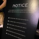 까르띠에 성수 팝업 전시후기 <인투 더 와일드 Into the Wild> 무료예약 방법 - 자연과 야생의 팬더