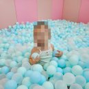 김천행정사사무소 이미지