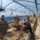 금산축산업협동조합 이미지