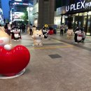 견들의 밥상 이미지