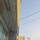 정월달 | 서산수제청 정월달 새콤달콤 맛있게 사 먹은 후기