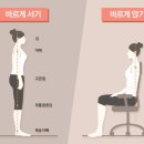 올바른자세 네이버블로그