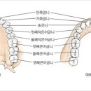 이와 관련된 책과 단어 이미지