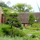 도서관에서 만나는 우쿨렐레 이미지