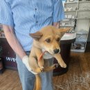 정선가축병원 이미지