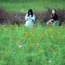 코스모스메디칼 이미지