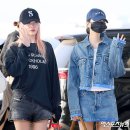 리즈 이미지