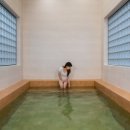 허니스테이 이미지