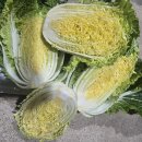 착한가격 호호야절임배추/ 일반배추만요 이미지