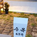 수목458 네이버블로그