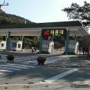 태종대 관광안내소 이미지