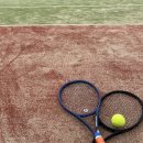 남사테니스장 이미지