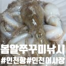 전일상회 | [인천] 봄철 알쭈꾸미 낚시! 인천 남항부두 배낚시 &amp; 인천종합어시장 방문 후기