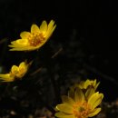 찬물내기 이미지