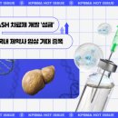 이미지기획 이미지
