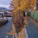 창동교 화장실 이미지