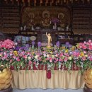 낙동약국 이미지