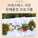 [초등학생 크리스마스 특강]겨울만들기 LED 무드등(1~3학년) | 크리스마스 단체출강 원데이클래스 : 크리스마스 미니트리, 목화솜 리스, 석고방향제 만들기 힐링프로그램
