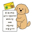 삼각지역 | [삼각지역 맛집] 노포 분위기 식도락칼국수 추천 후기