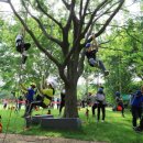 곡성-175 이미지