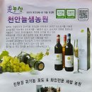 늘샘농원 이미지