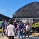 석곡농장 | 한국춘란(韓國春蘭) 입문, 구미대 창조농 제24기 진주난(蘭) 농장 견학 후기