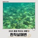 통영 욕지도 흰작살해변 해루질, 스노쿨링 2번 한 후기