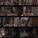 노행하 카카오 검색결과