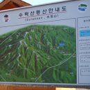상촌유원지 Daum카페