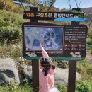 제봉산 마법의 숲체험원 이미지