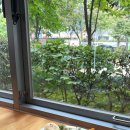 찐찐라이프