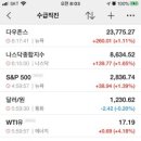 엔에스더블유더블유 이미지