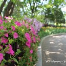 용인시 방죽골어린이공원 (옥외1) | [용인여행]용인시민들의 편안한 쉼터 용인농업기술센터옆 용인농촌테마파크 피크닉장소로 딱이네!!!