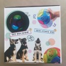 도그팡팡 이미지