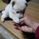 당골농장 이미지