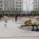 해피트리어린이집 이미지