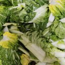 집밥 | 봄동비빔밥 만들기 집밥 후기｜남자친구요리 제육볶음 저녁식사 🍃