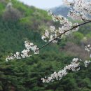 청려수련원 이미지