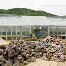 고한읍 행정복지센터 2층 이미지