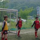 지성 태권도장 이미지