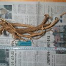 봉곡동142 이미지