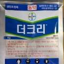 아이에이피